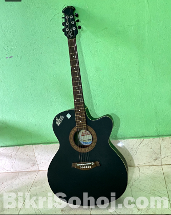 Signature Guitar